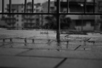 /album/landscape/a224807-1673022585072-4045675-n-copia-copia-jpg/